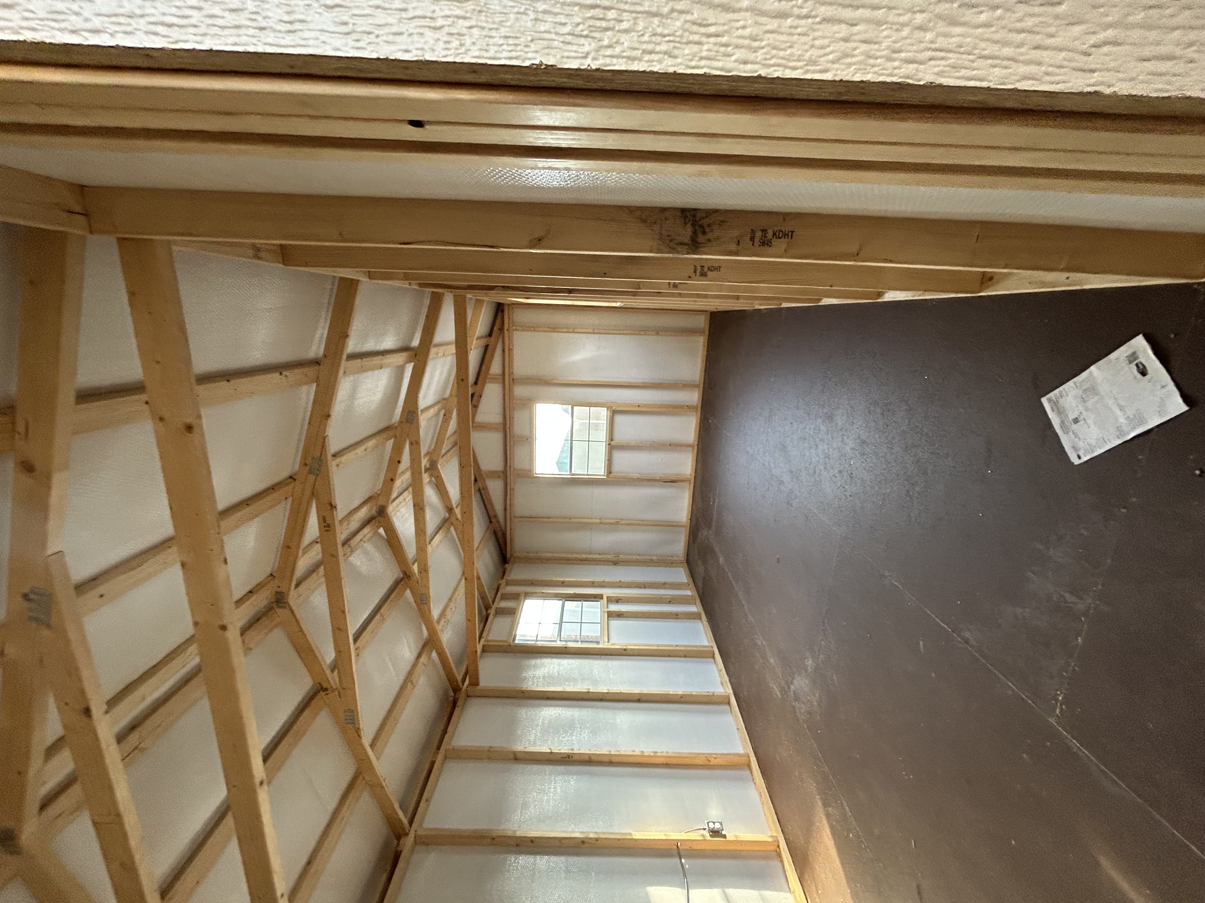 Economy Line - interior framing view